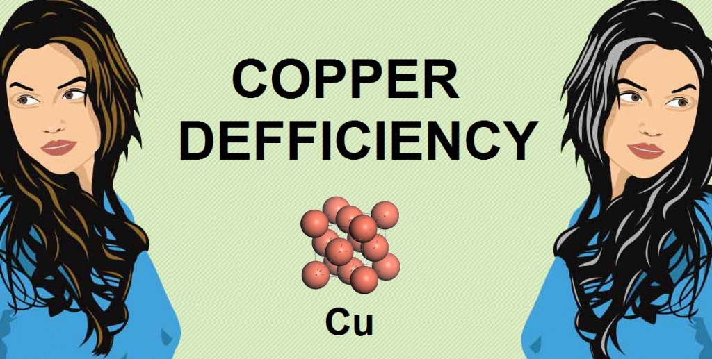 THE ROLE OF COPPER IN THE APPEARANCE OF GREY HAIR THE ROLE OF COPPER IN THE APPEARANCE OF GREY HAIR