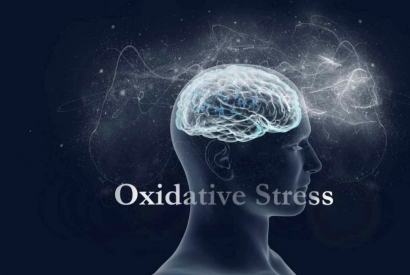 Stress oxydatif 