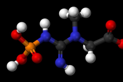 L-ARGININE - L'ACIDE AMINO ESSENTIEL POUR LA CROISSANCE DES CHEVEUX