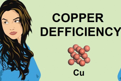 THE ROLE OF COPPER IN THE APPEARANCE OF GREY HAIR