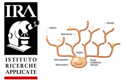TRICO-HYAL® NUCLEUS, THE ACTIVE INGREDIENT OF REDENHAIR'S ANTIGRAY LOTION